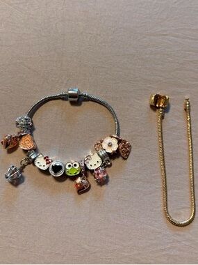 Charm bracelet includes several charms